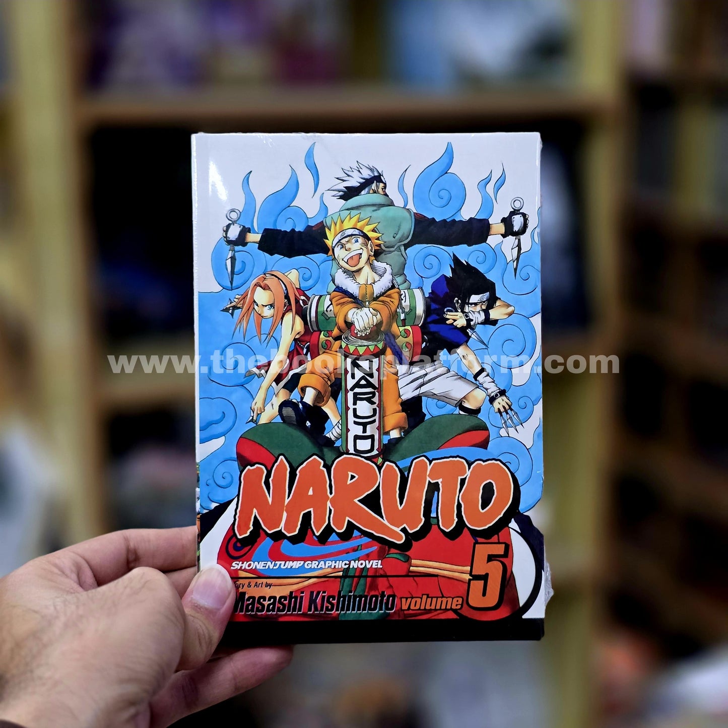 Naruto (Volume 5)