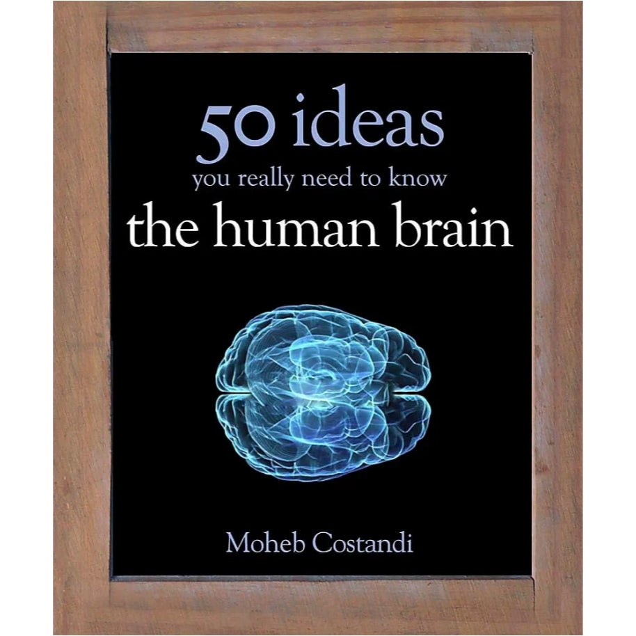 50 Human Brain Ideas You Really Need to Know