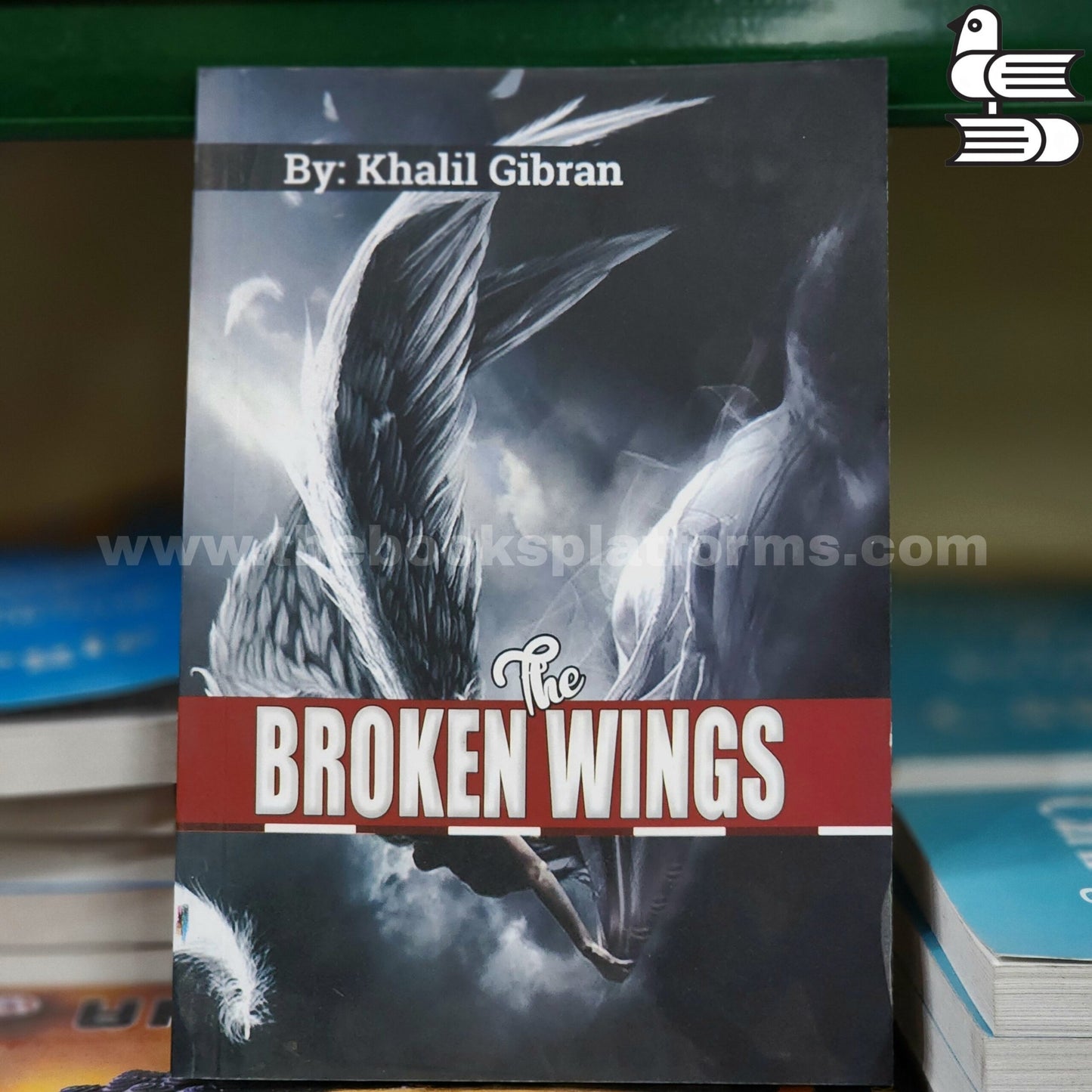 The Broken Wings