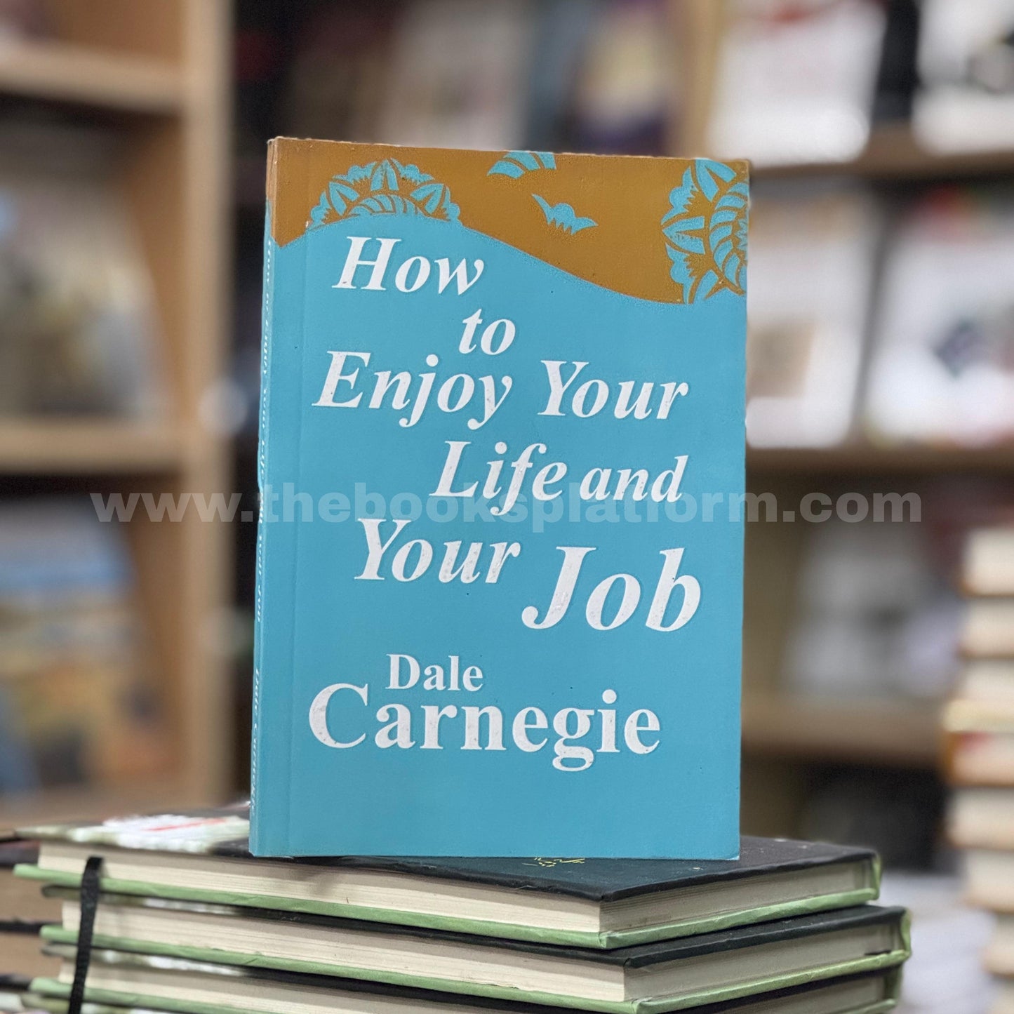 How to Enjoy Your Life and Your Job