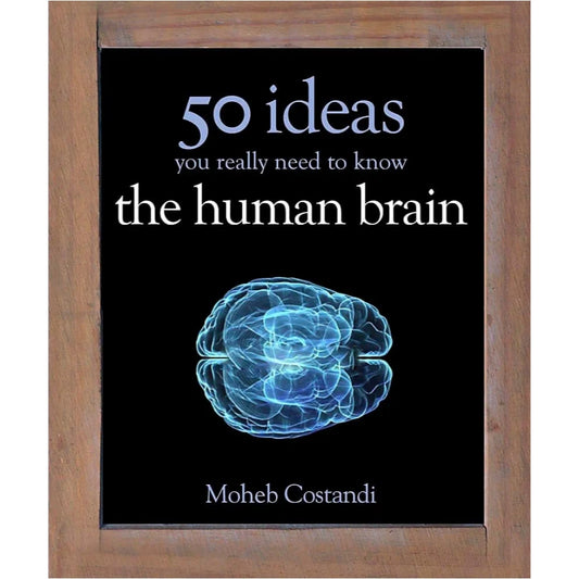 50 Human Brain Ideas You Really Need to Know