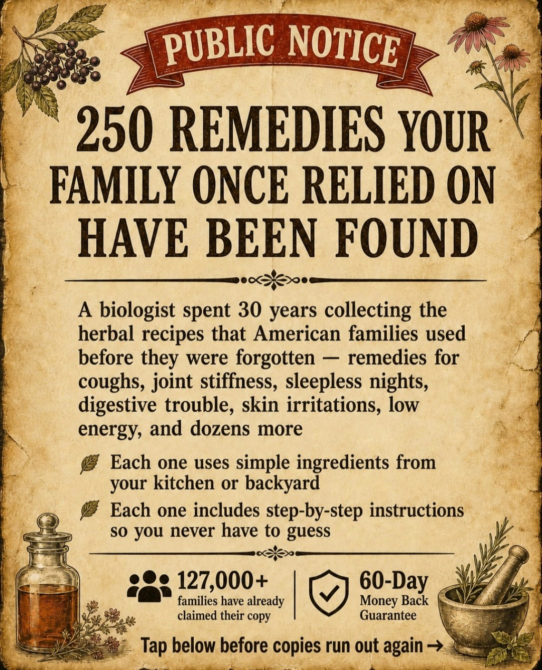 Forgotten Home Apothecary: 250 Powerful Remedies at Your Fingertips
