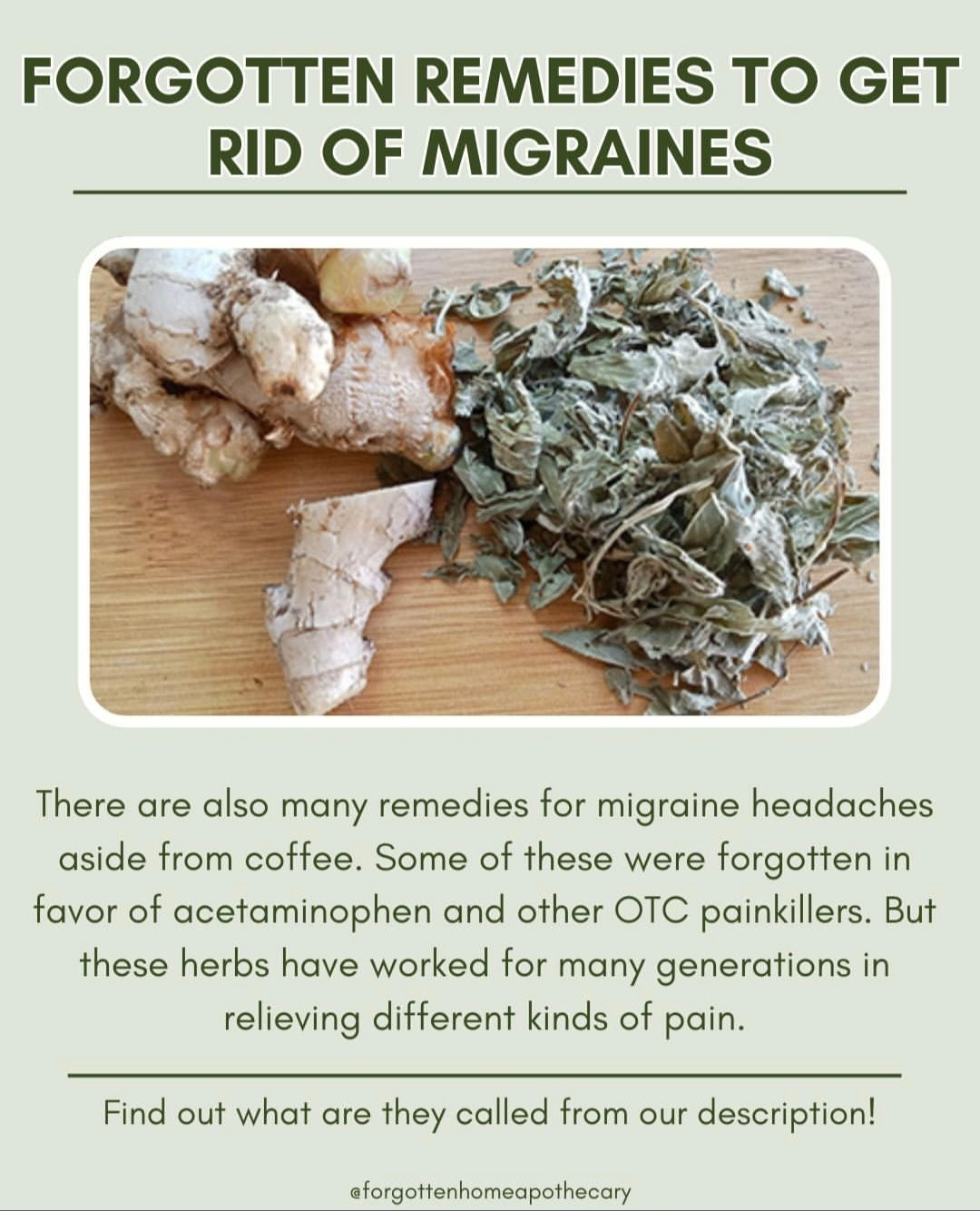 Forgotten Home Apothecary: 250 Powerful Remedies at Your Fingertips