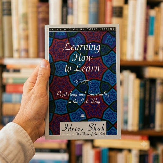 Learning How to Learn