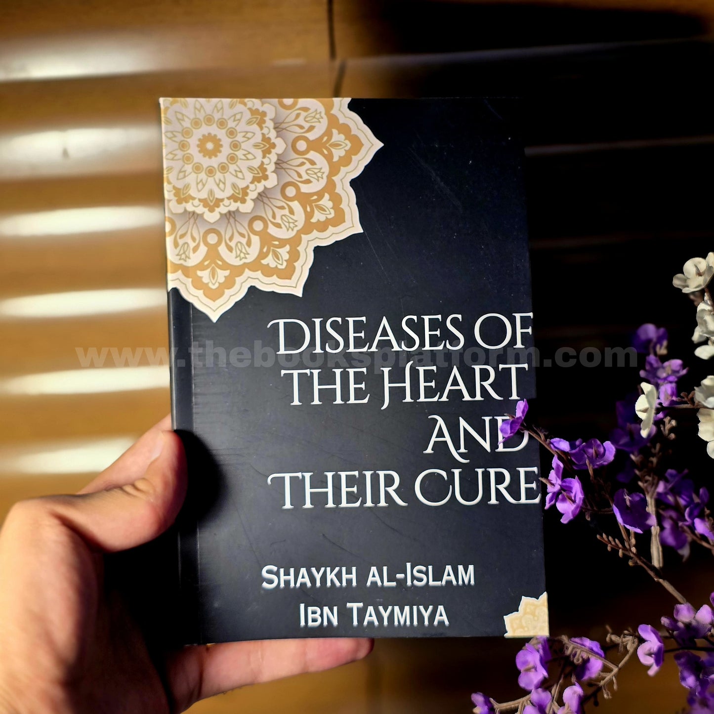 Diseases of the Heart and Their Cure