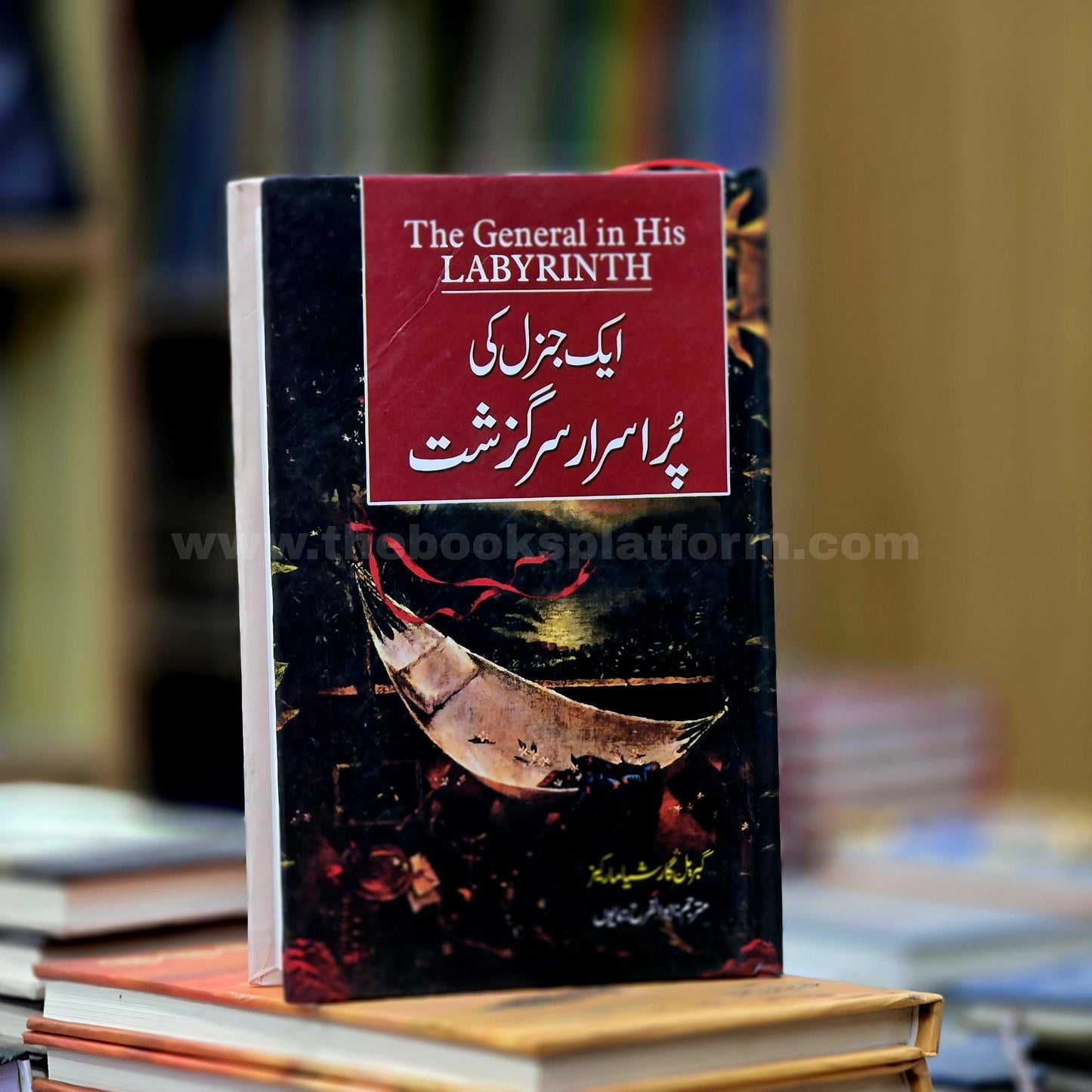 Aik General Ki Pur Israar Sarguzasht [ The General in His Labyrinth ]