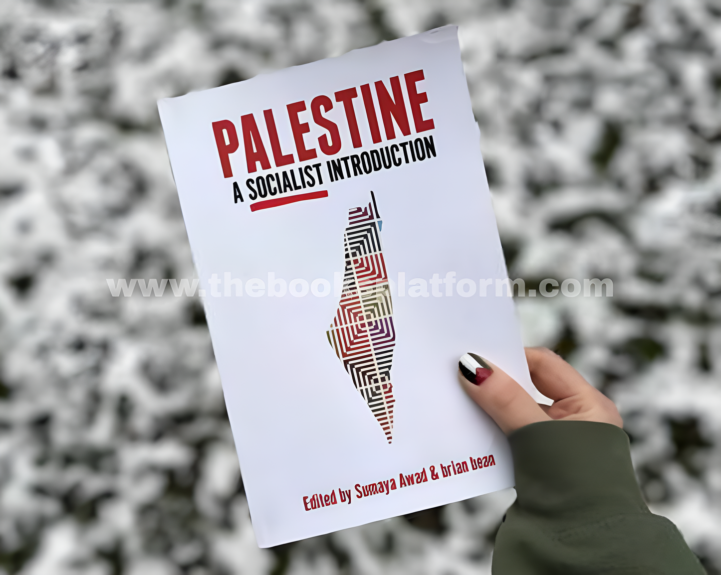 Palestine: A Socialist Introduction