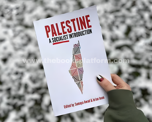 Palestine: A Socialist Introduction