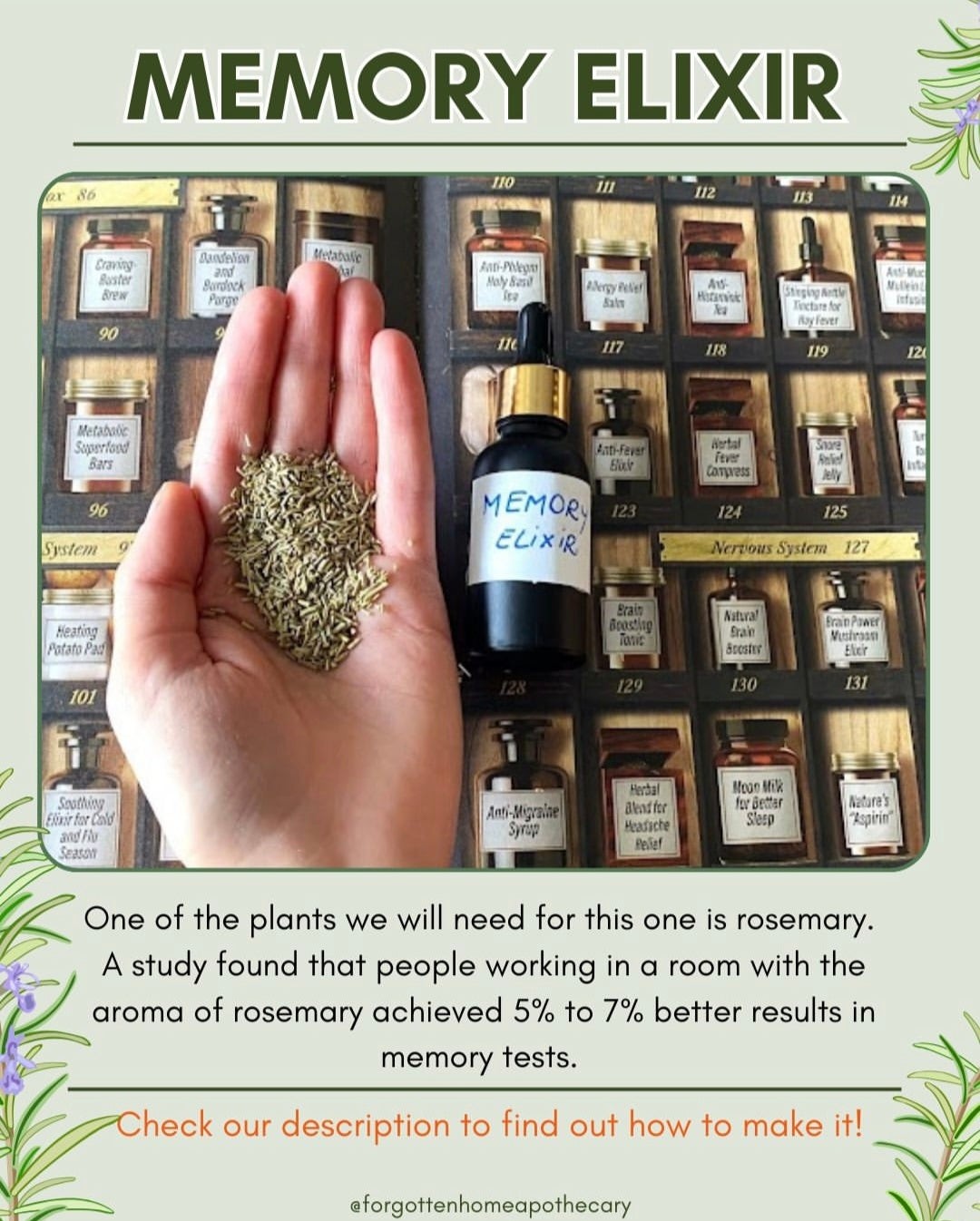 Forgotten Home Apothecary: 250 Powerful Remedies at Your Fingertips